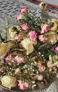 تعدادی گل خشک جهت رزین و هنرهای دستی