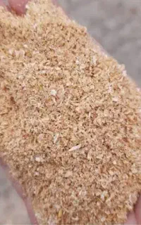 سبوس گندم