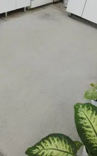 فروش پالاز موکت رنگ طوسی دوردوخت