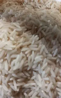 سلام برنج هاشمی عطری گیلان