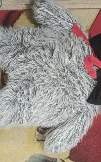 عروسک خرس بزرگ