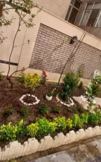 خدمات باغبانی...