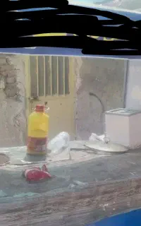 گاری فلافلی