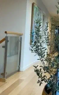 ژپون لباس مجلسی