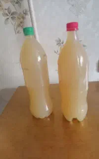 چسب کفاشی