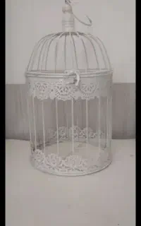 قفس