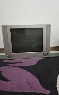 تلویزیون