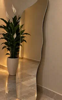 آینه منحنی