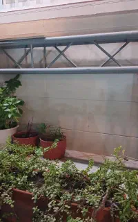 میز دیجی