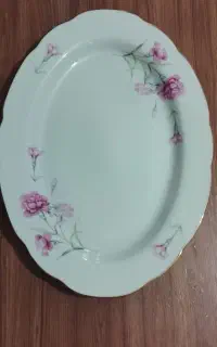 دیس گل میخک ژاپن اصل پنجاه سالع