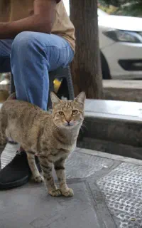 عکاسی فضای باز