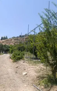 کار در ترکیه شهر ادانا
