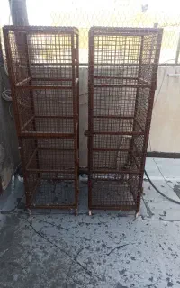 جفت کنی کبوتر
