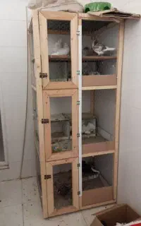 قفس پرنده