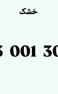 913 استثنایی خشک