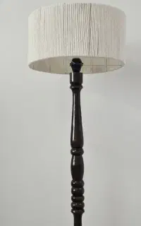 اباژور ایستاده