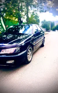 پرشیا سالم