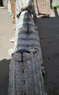 پالان خر،اسب