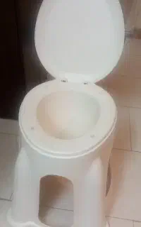 توالت فرنگی