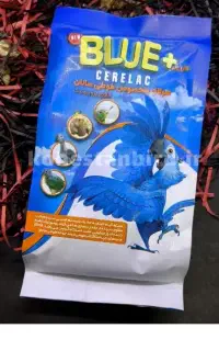 سرلاک عروس هلندی