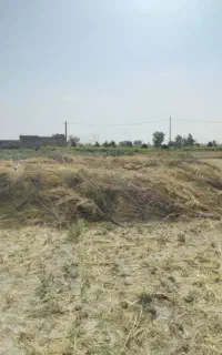 دوعددخرمن کاه یگ بزرگ ویک کوچک