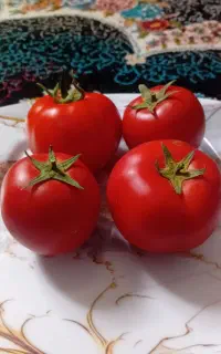 ۴۳۰۰ عدد نشا کاسیو