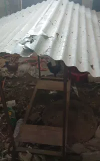 سایبون کولر سی هزار