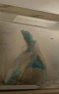 اکواریوم شیشه خم