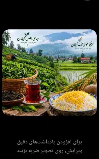 فروش برنج و چای اصل گیلان