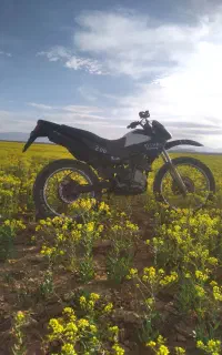 موتورسیکلت سالم