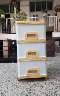 جا سیب زمینی و پیاز سالم