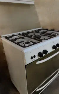 فرگاز
