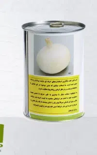 بذرپیاز دستگیری