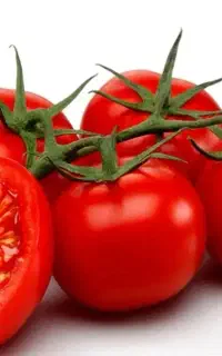 کود ارگانیک با کیفیت باورنکردنی