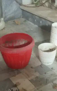 چند عدد گلدان به مبلغ200ت