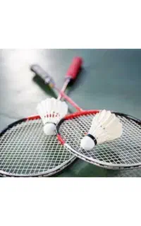 همبازی بدمینتون