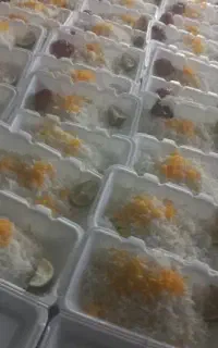 غذا ۲۲۰ ارسال رایگان