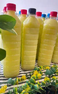 فروش انواع محصولات خونگی دلمزه