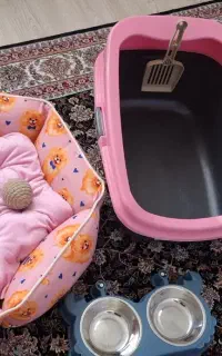وسایل گربه