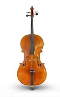 نمایندگی رسمی انواع ویالن سل Cello در ایران اصلی