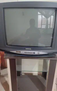 تلویزیون