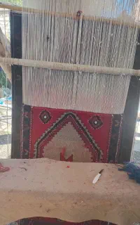 قالیچه دست بافت محلی کلاردشت