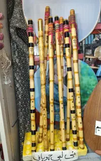 نی لبی نی شتری نی چوپانی نی عشایری نی کردی نی محلی