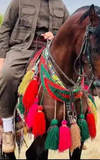 دهنه چرک یا قدیمی