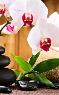 تزریقات ،پانسمان