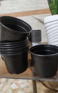گلدان ژله ای سایز ۱۶   تعداد ۷۶ عدد