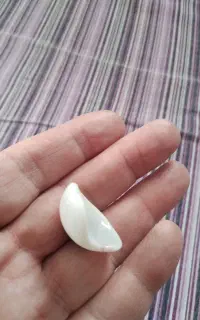 دو جفت یا ۴ عدد چشم مصنوعی انسان