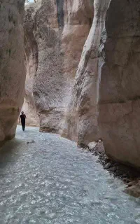 تور طبیعت گردی