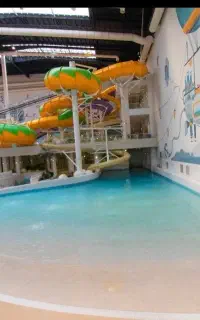 سه عدد بلیط او پارک