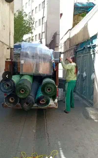 آقای باربیکو